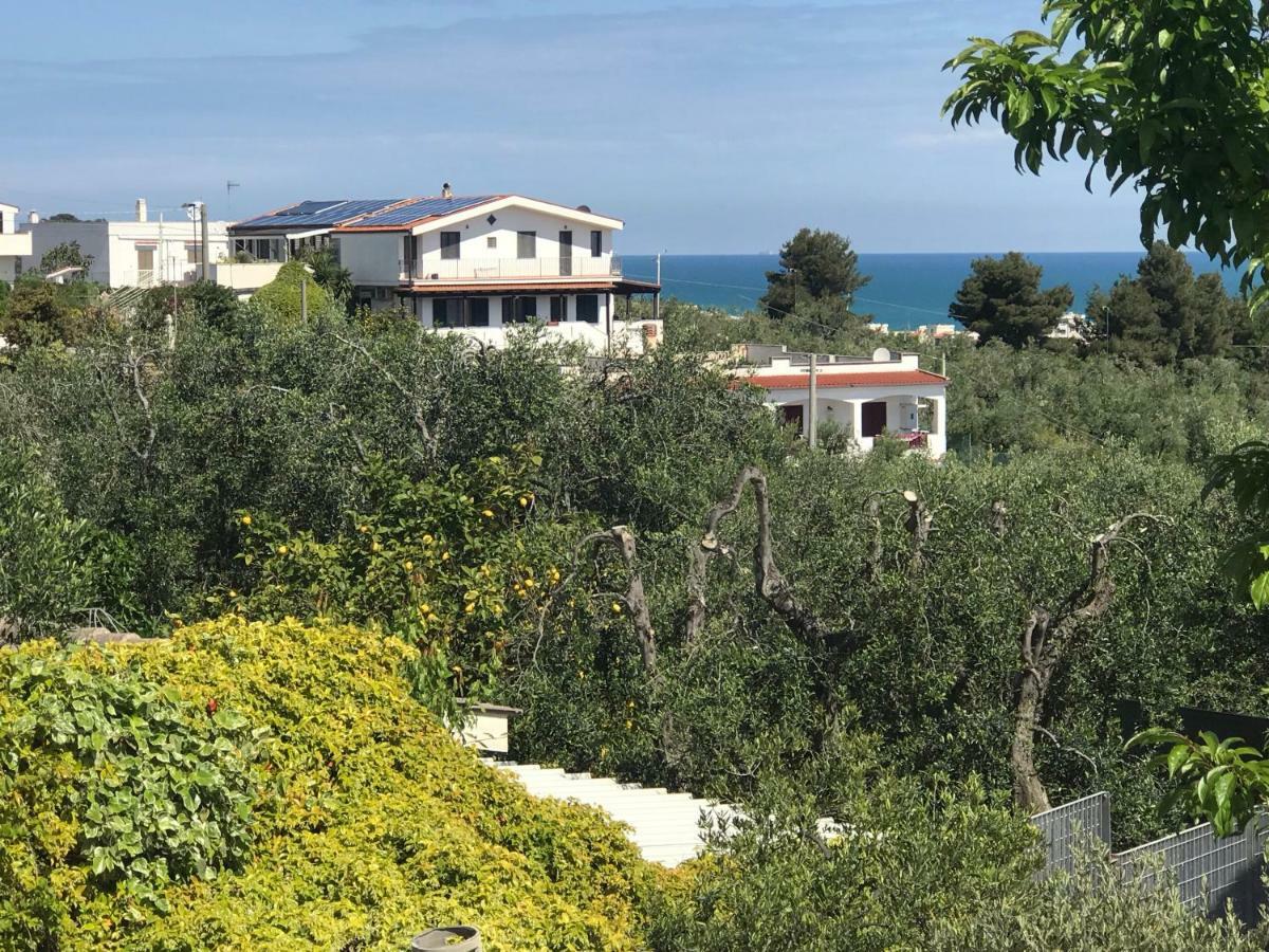 Appartamenti Santa Margherita Vieste Kültér fotó