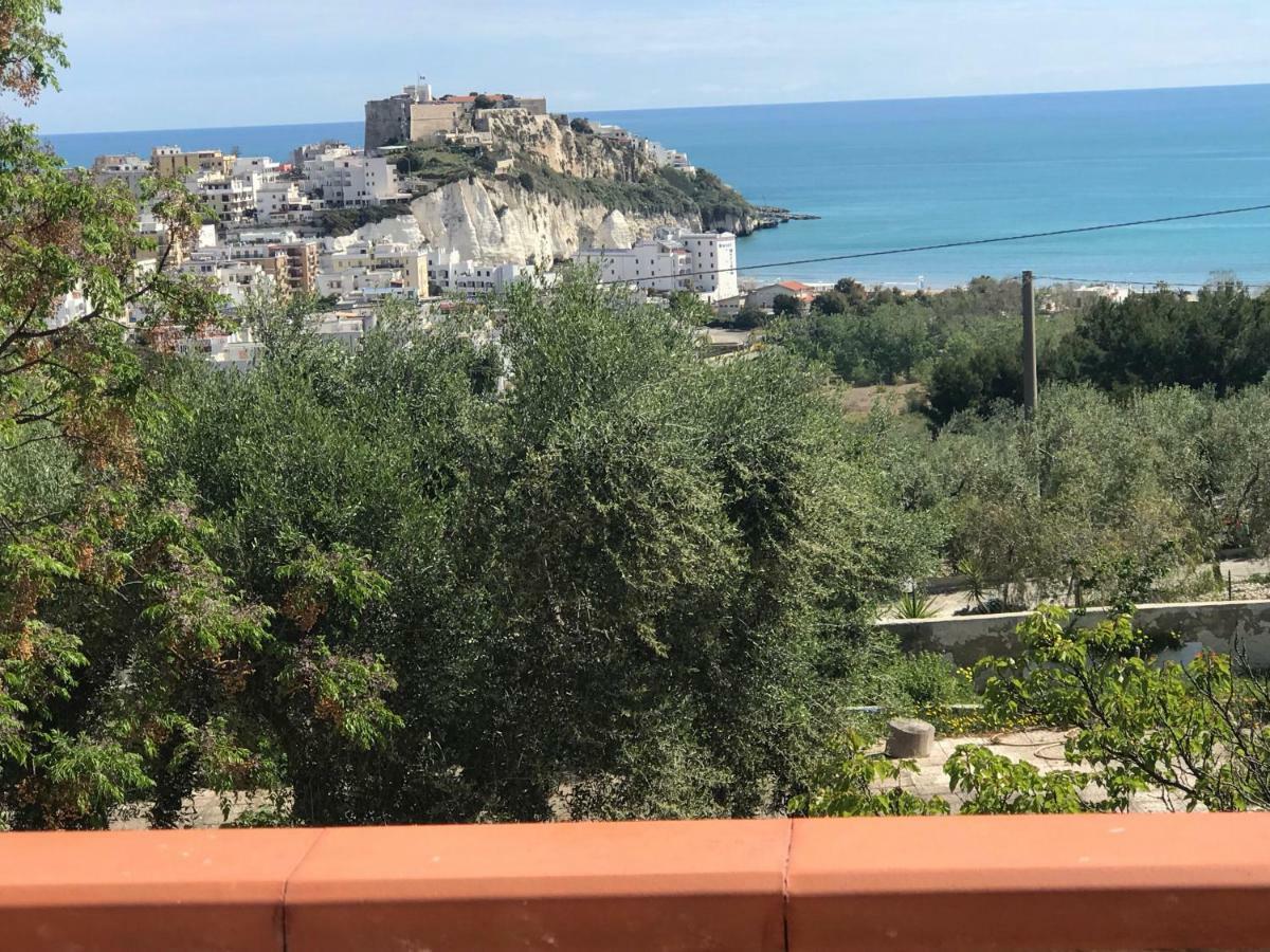 Appartamenti Santa Margherita Vieste Kültér fotó